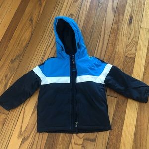 Swiss Alps Coat